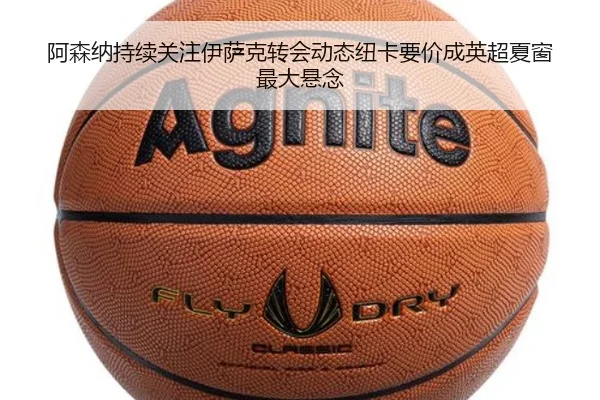 阿森纳持续关注伊萨克转会动态纽卡要价成英超夏窗最大悬念（okooo）